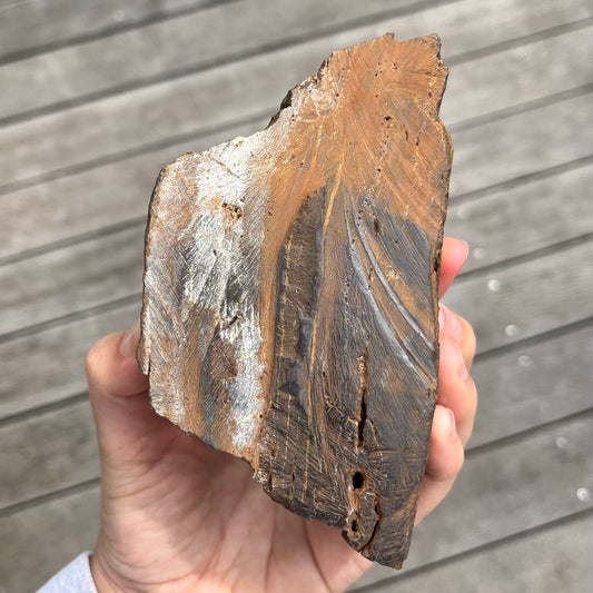 Tiger Eye Large Raw Crystal - Courage, Focus, Protection