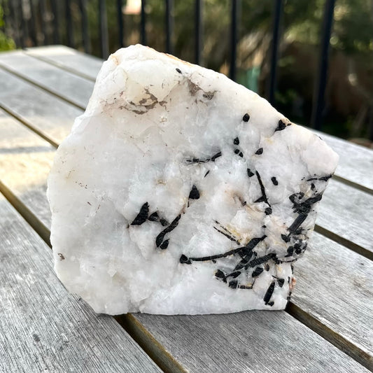 Tourmaline in Quartz XL Raw Crystal - Grounding, Protective, Purifying
