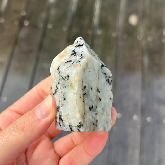 Tourmaline in Quartz Small Raw Point Crystal - Grounding, Protective, Purifying