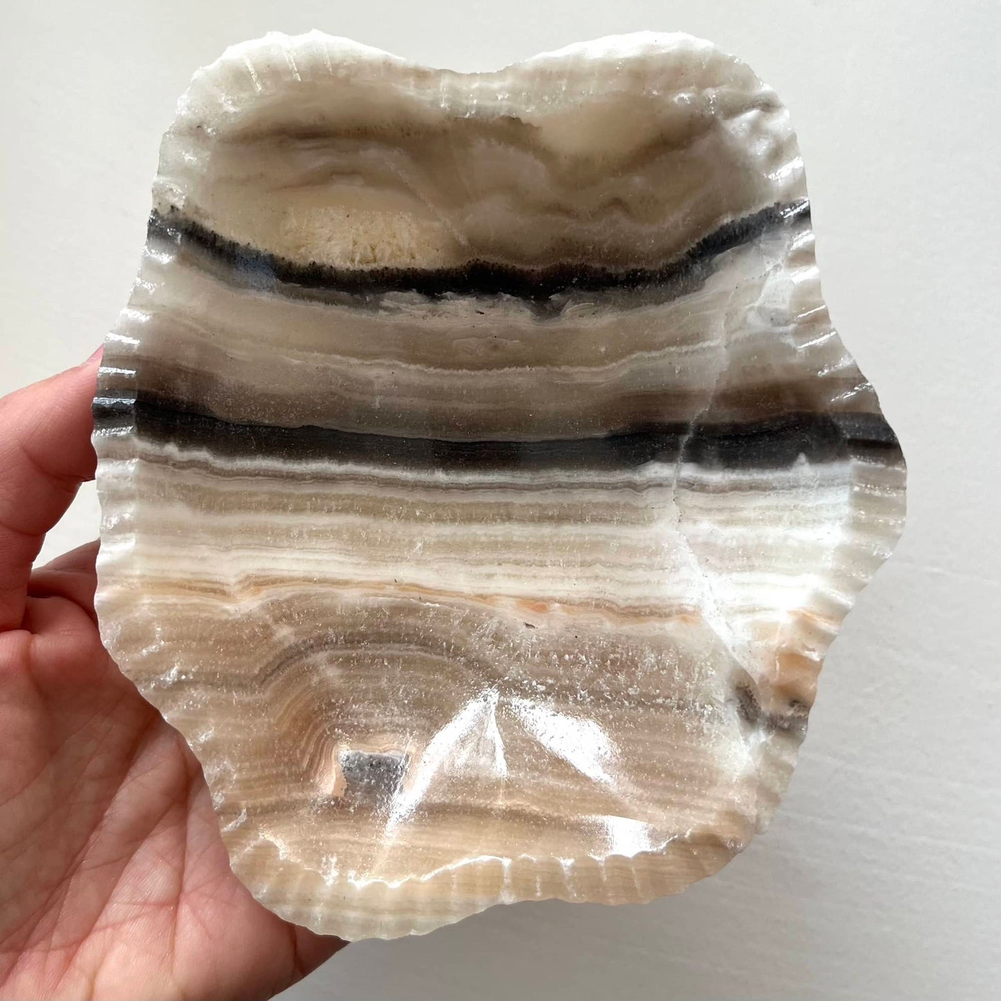 Zebra Aragonite Bowl - Medium