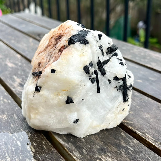 Tourmaline in Quartz Large Raw Crystal - Grounding, Protective, Purifying