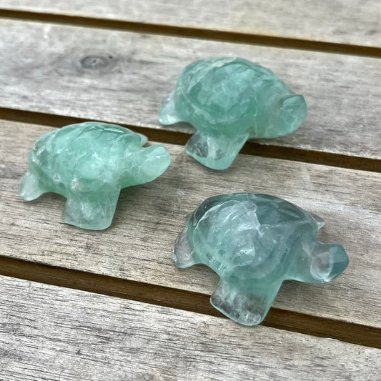 Green Fluorite Turtle Crystal - Clarifying, Transformative, Harmonising