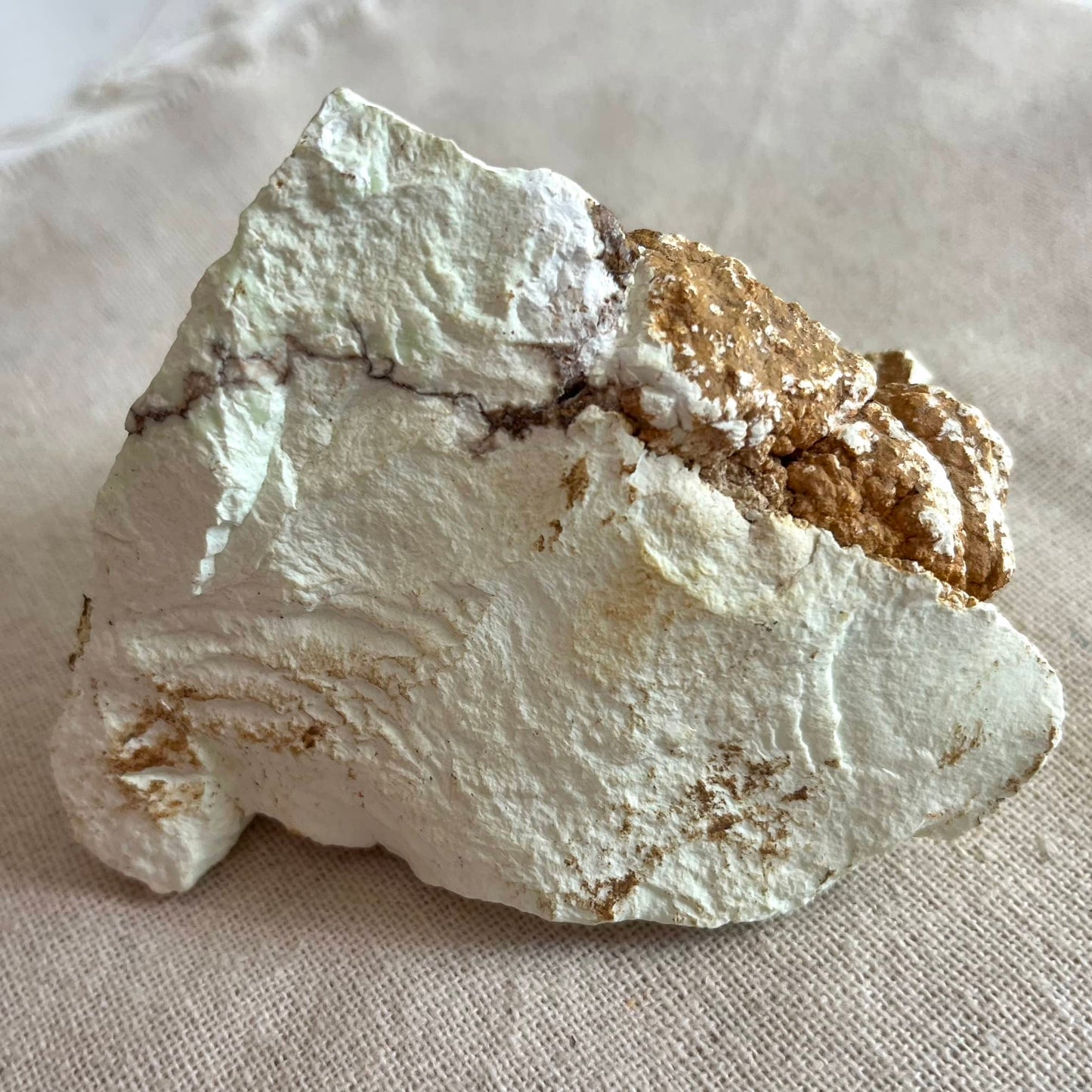 Lemon Chrysoprase Raw Crystal - Large
