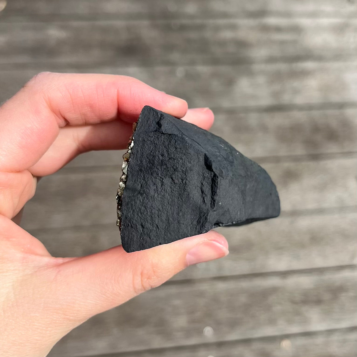 Pyrite on Shungite Raw Crystal - Abundance, Protection