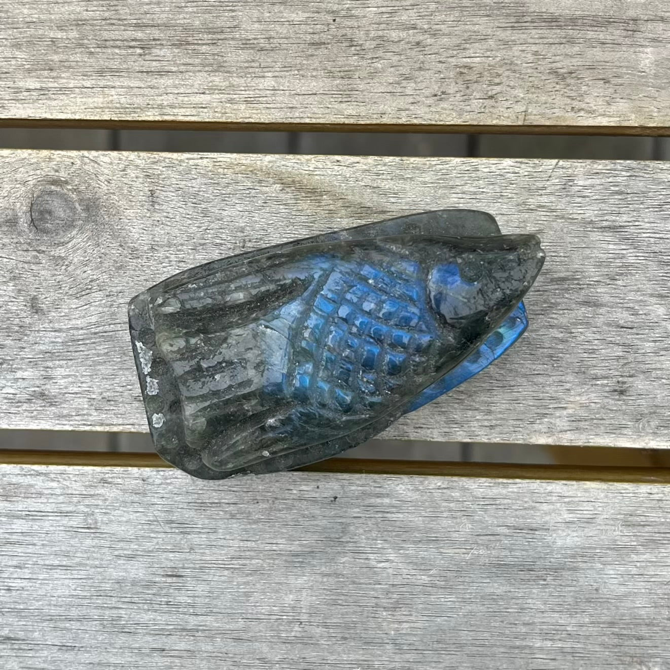 Labradorite Fish Crystal - Protective, Mystical, Transformative