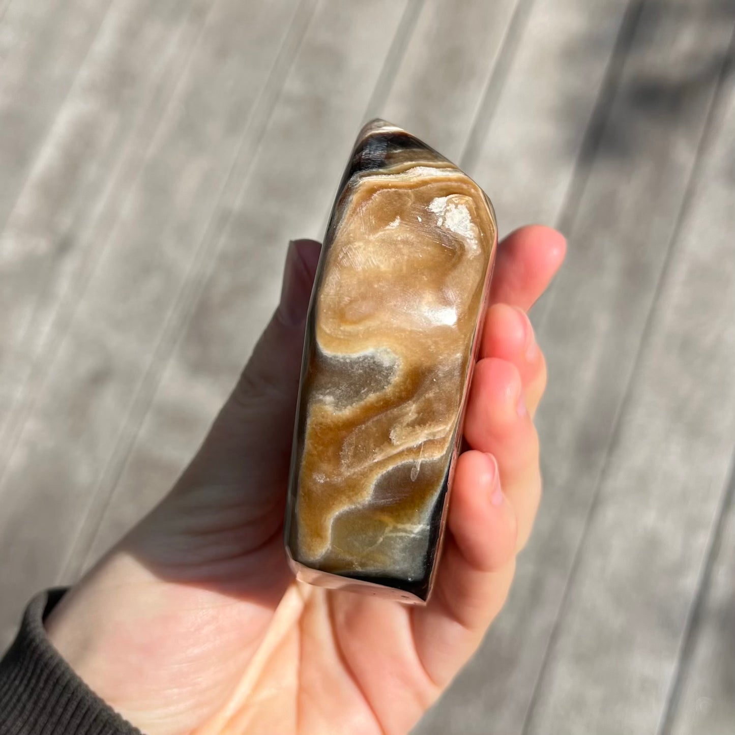 Petrified Wood Slab Crystal - Grounding, Ancient, Connection