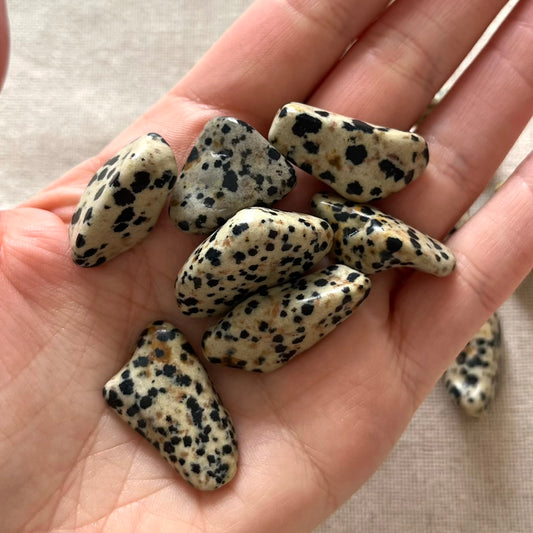 Dalmatian Jasper Tumble Stone - Playful, Protection