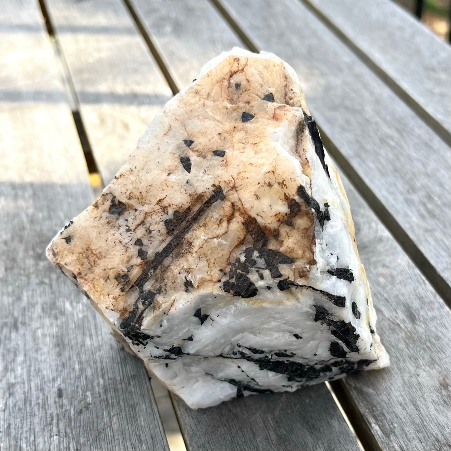Tourmaline in Quartz XL Raw Crystal - Grounding, Protective, Purifying