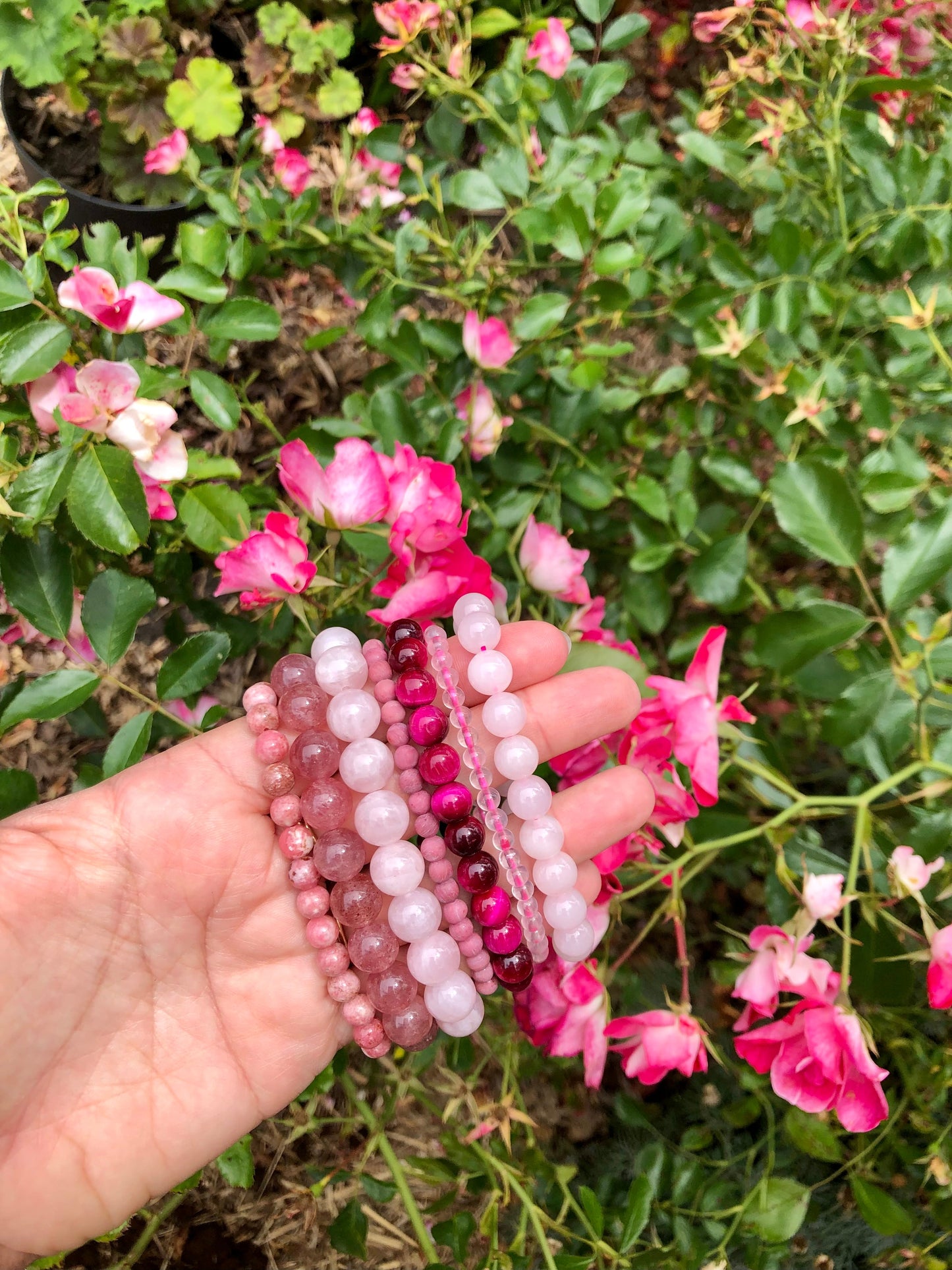 Rose Quartz Bracelet - Lithos Crystals