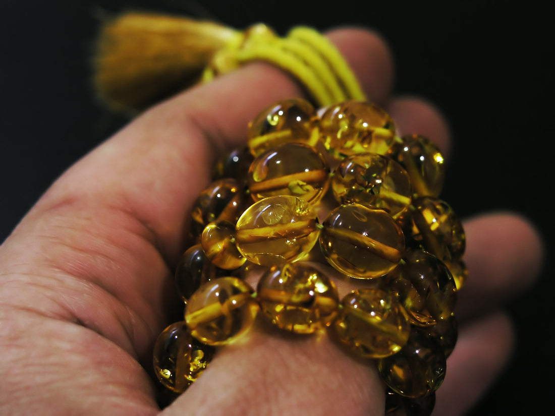 Baltic Amber: Treasure of the Baltic Sea - Lithos Crystals