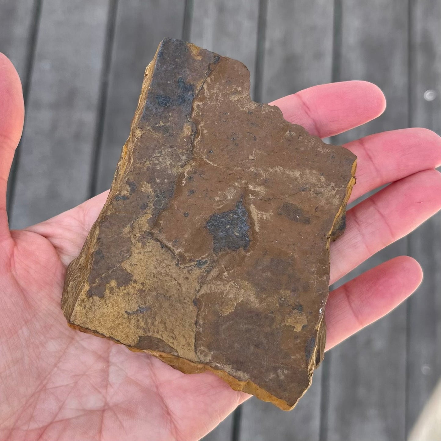 Tiger Iron Medium Slab Crystal - Grounding, Motivation