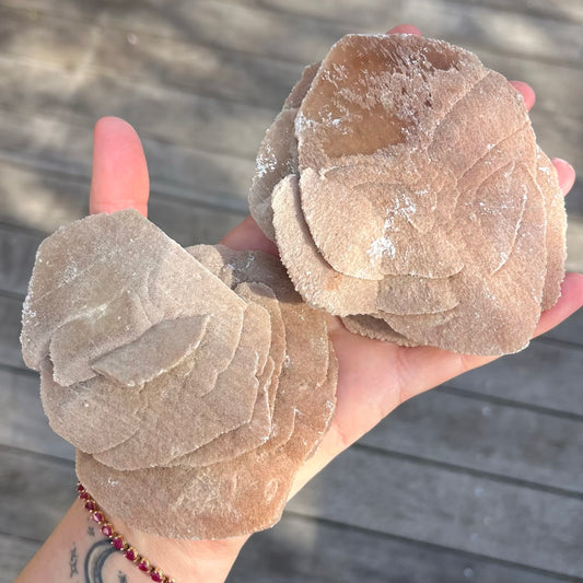Desert Rose Selenite Large Raw Crystal - Protection, Clarity