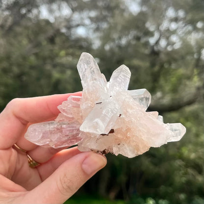 Clear Quartz Medium Cluster Crystal - Wisdom, Intention