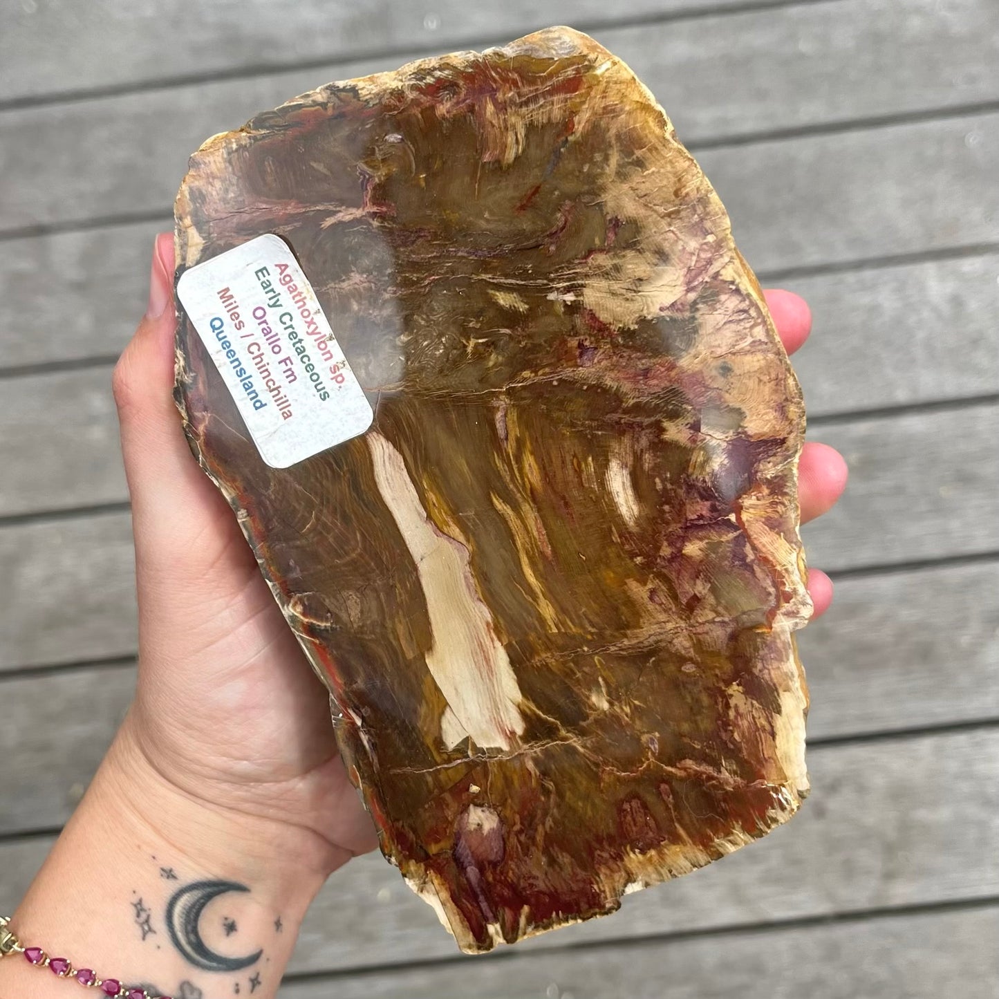 Petrified Wood XL Slab Crystal - Grounding, Stabilising