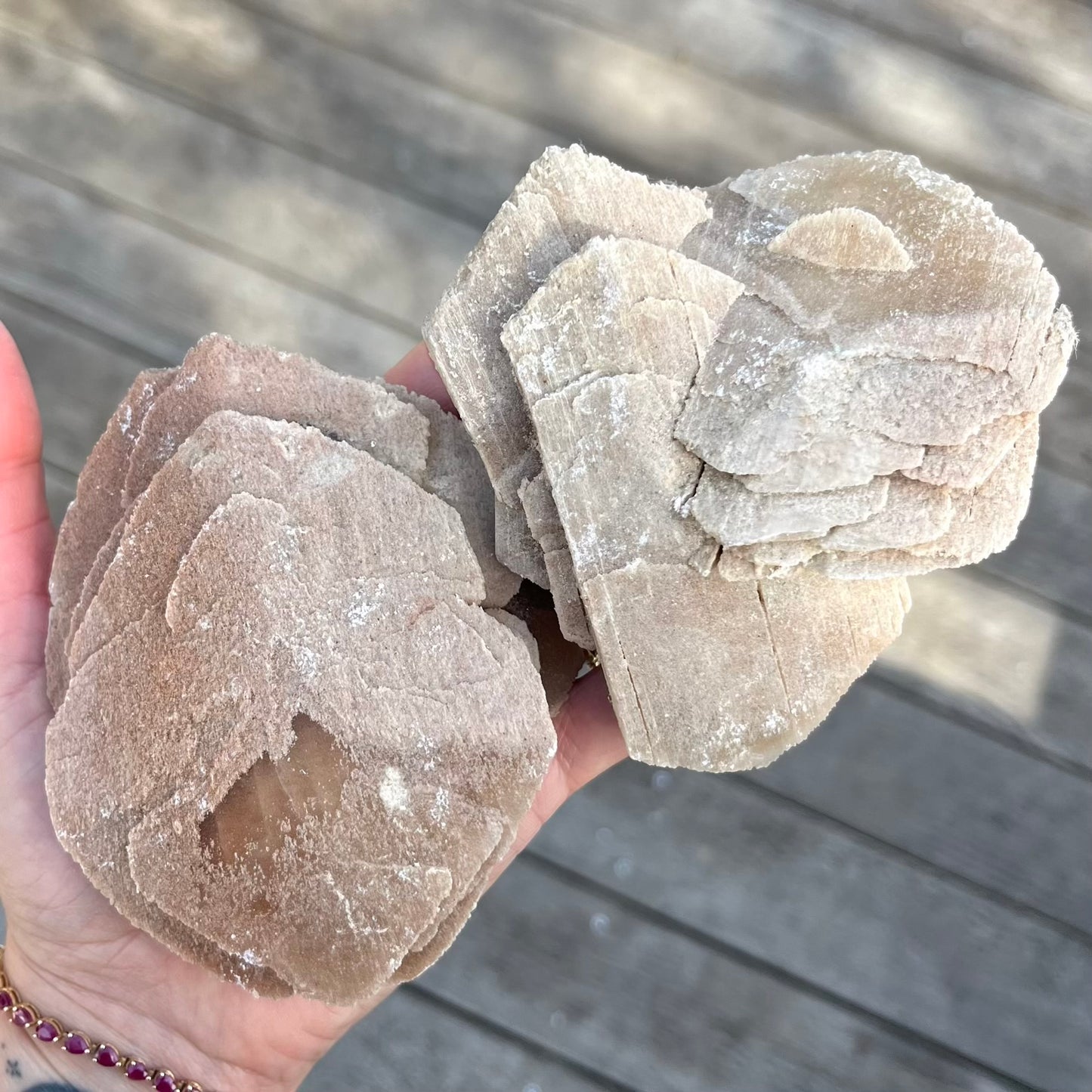 Desert Rose Selenite Large Raw Crystal - Protection, Clarity