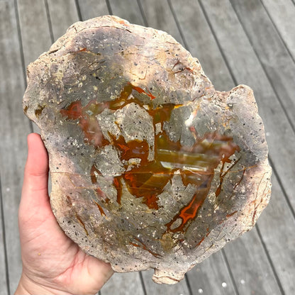 Petrified Wood XXL Slab Crystal - Grounding, Stabilising