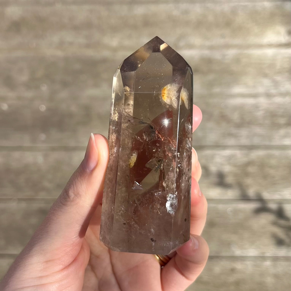 Smoky Quartz Large Point Crystal - Balance, Grounding