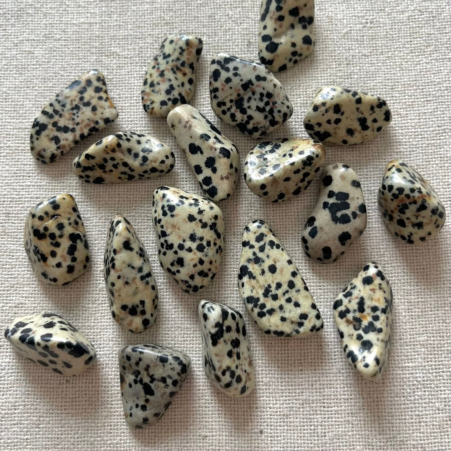 Dalmatian Jasper Tumble Stone - Playful, Protection