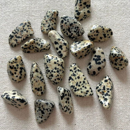 Dalmatian Jasper Tumble Stone - Playful, Protection