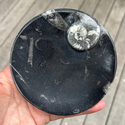 Goniatite Fossil Small Dish - Ancient, Grounding, Strength