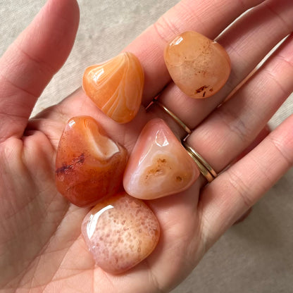 Red Agate Tumble Stone - Grounding, Courage, Stability