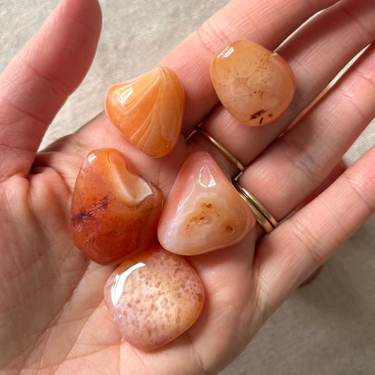 Red Agate Tumble Stone - Grounding, Courage, Stability