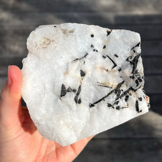 Tourmaline in Quartz XL Raw Crystal - Grounding, Protective, Purifying