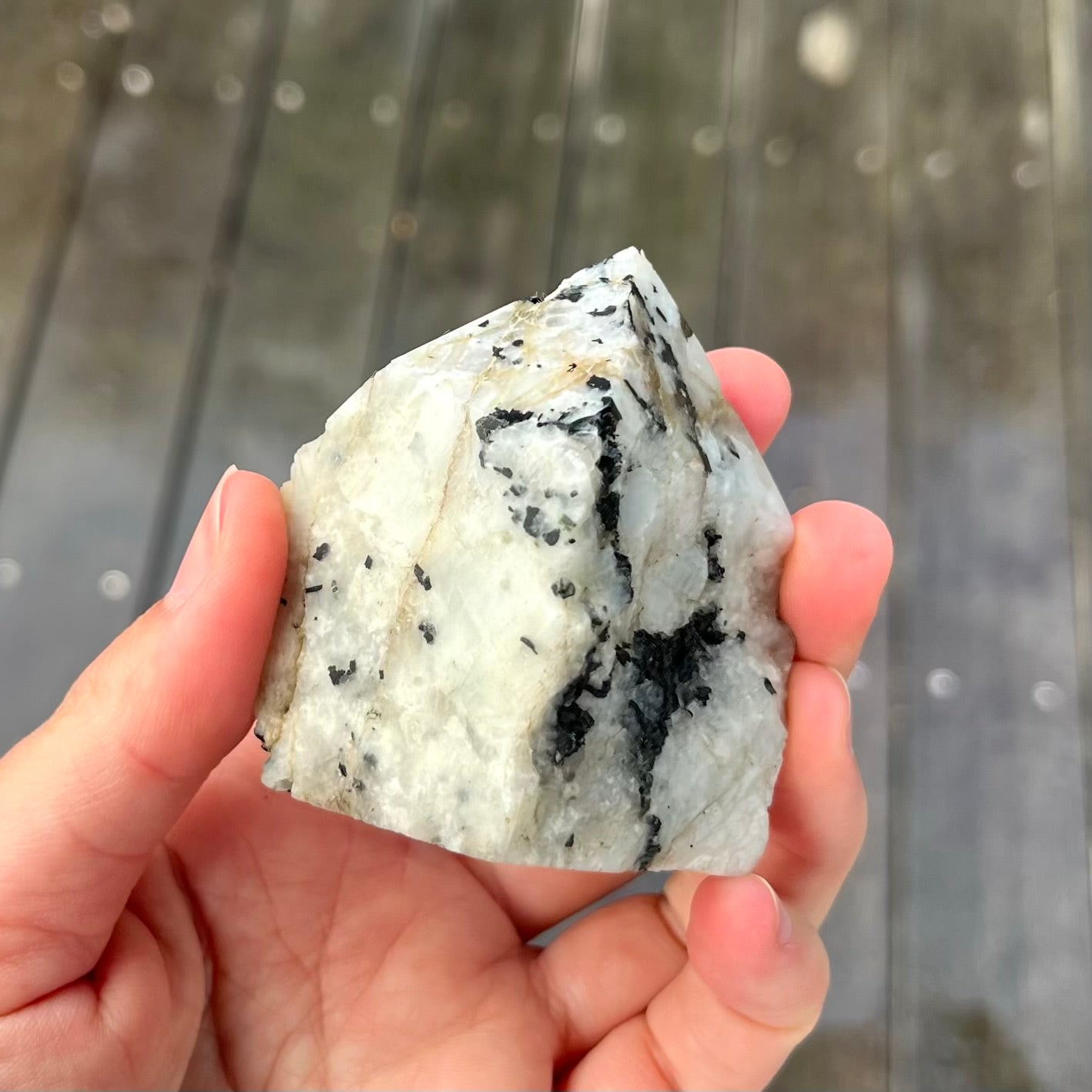 Tourmaline in Quartz Small Raw Point Crystal - Grounding, Protective, Purifying