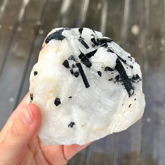 Tourmaline in Quartz Large Raw Crystal - Grounding, Protective, Purifying