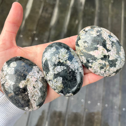 Pudding Stone Palm Stone Crystal - Resilience, Strength
