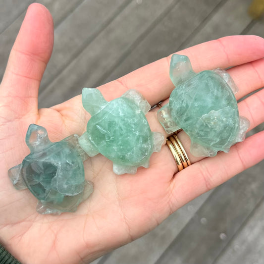 Green Fluorite Turtle Crystal - Clarifying, Transformative, Harmonising