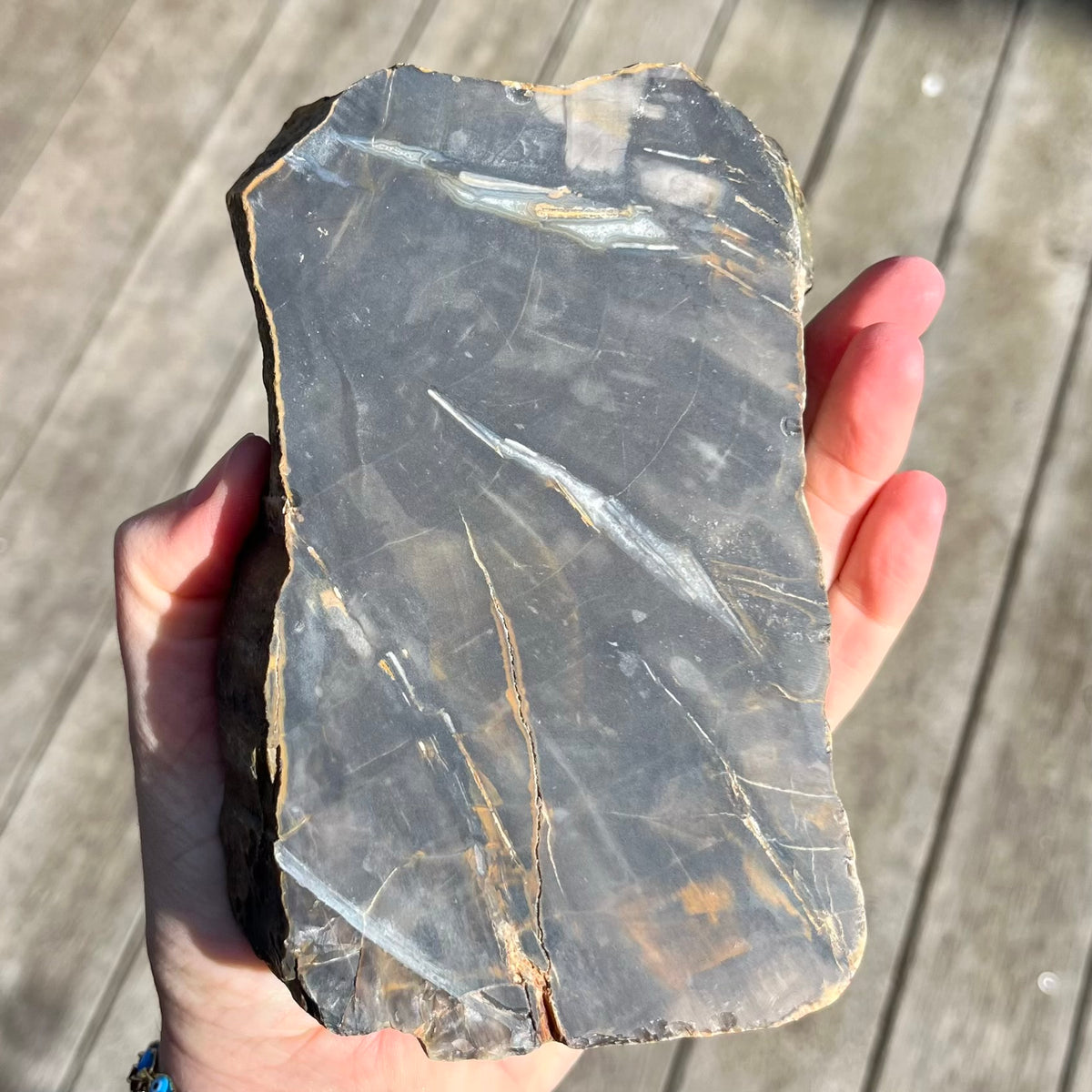 Petrified Wood Large Slab Crystal -  Patience, Wisdom