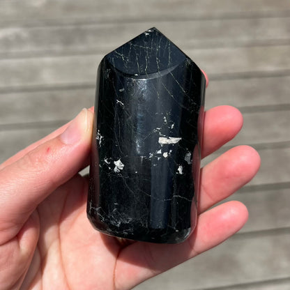 Black Tourmaline Large Generator Crystal - Protection