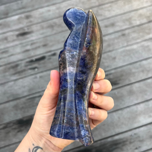 Sodalite XL Angel Crystal - Insight, Calm, Grounding