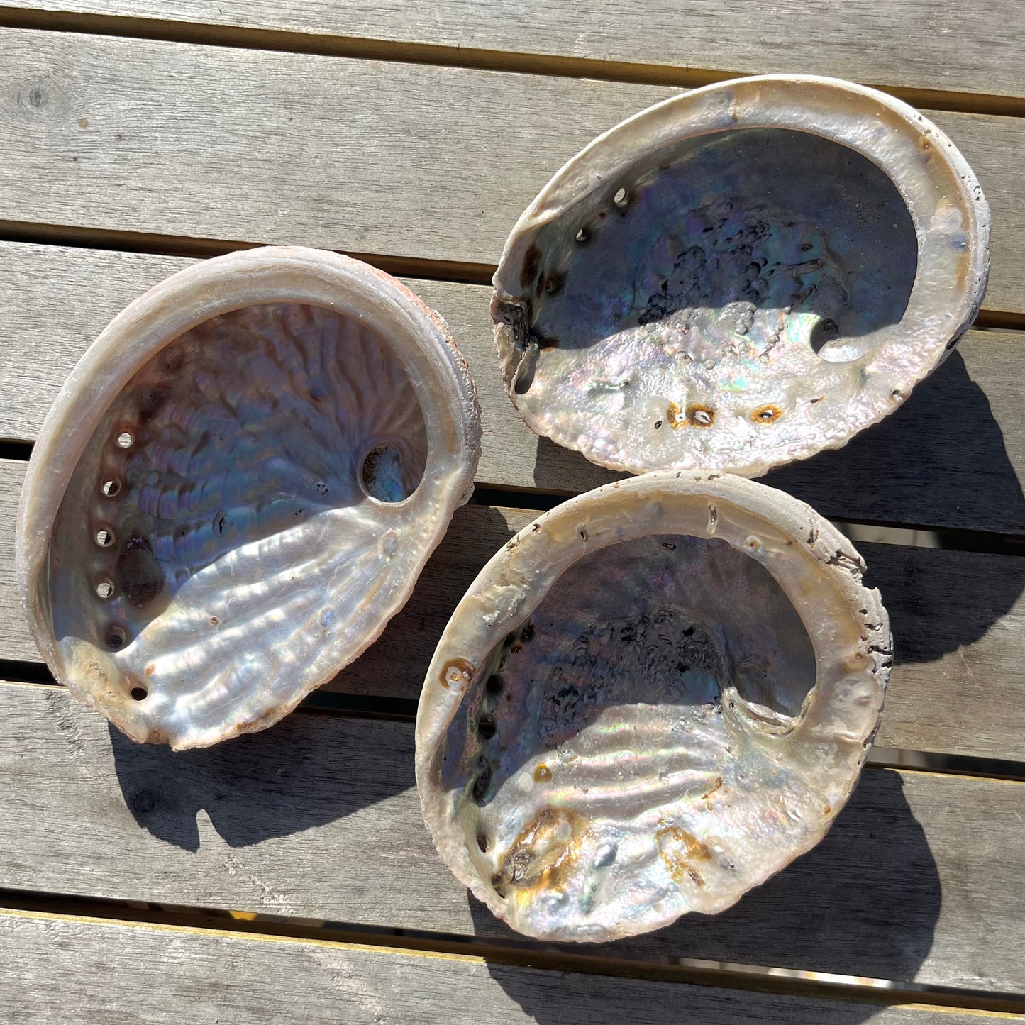 Abalone Shell Dish - Insight, Calm, Grounding