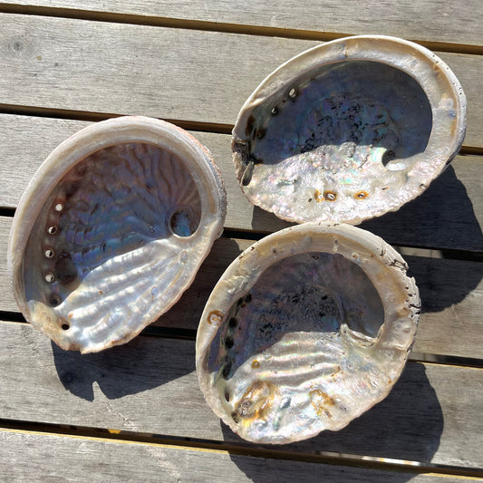 Abalone Shell Dish - Insight, Calm, Grounding
