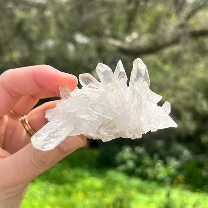 Clear Quartz Small Cluster Crystal - Wisdom, Intention