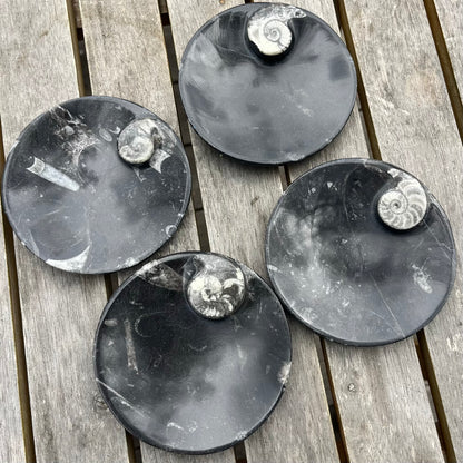 Goniatite Fossil Small Dish - Ancient, Grounding, Strength