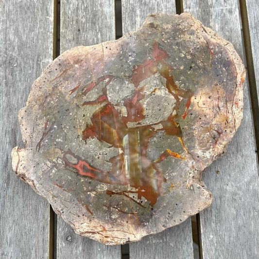 Petrified Wood XXL Slab Crystal - Grounding, Stabilising