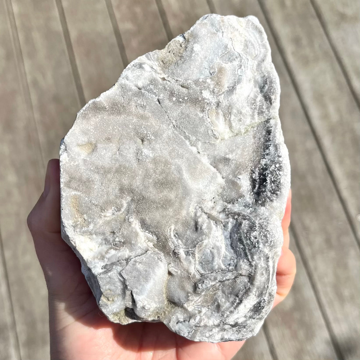Zebra Calcite Large Raw Crystal – Motivation, Harmony