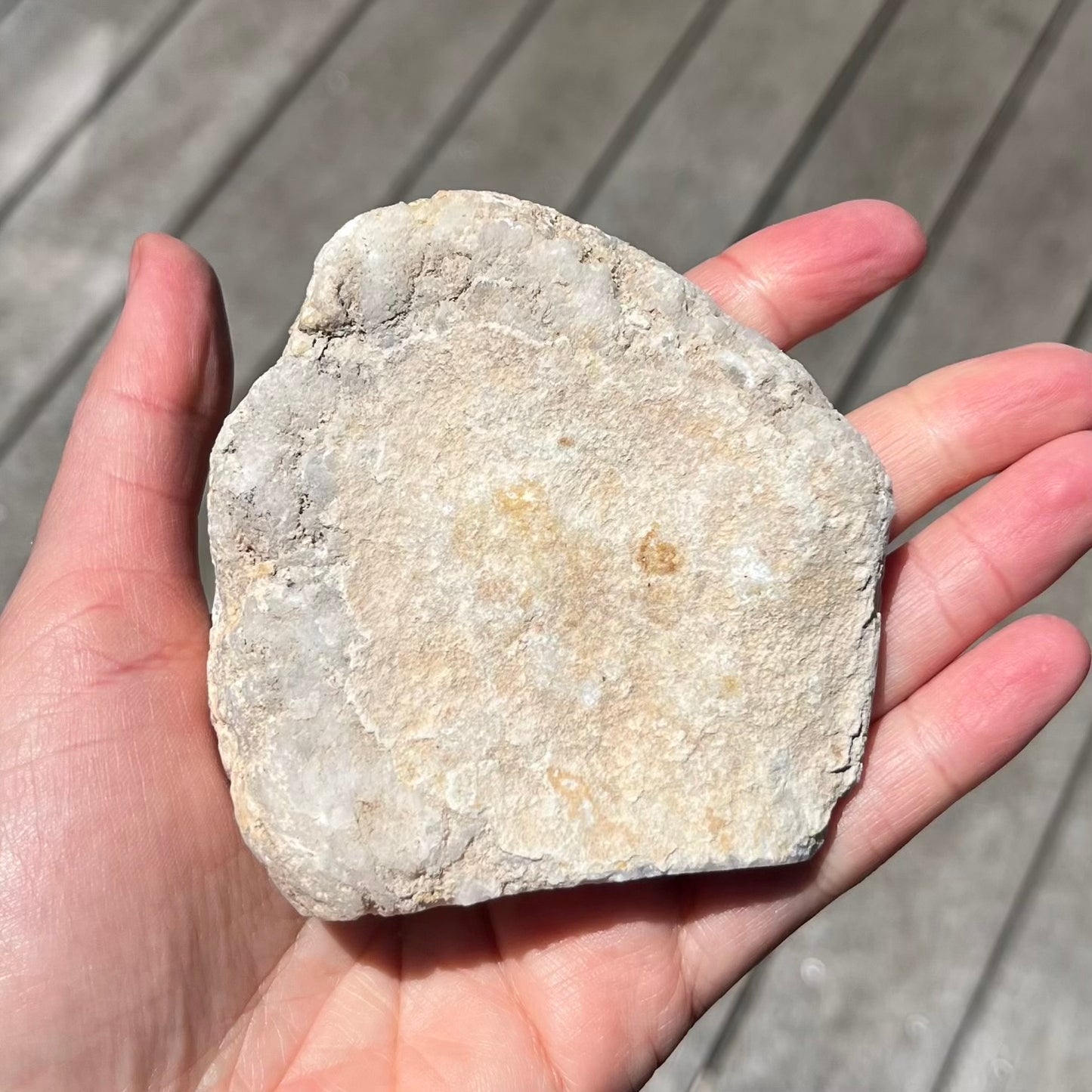 Quartz Geode Large Crystal - Clarity, Amplification, Light