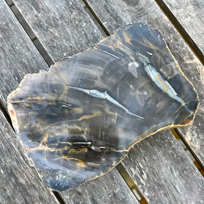 Petrified Wood Large Slab Crystal -  Patience, Wisdom