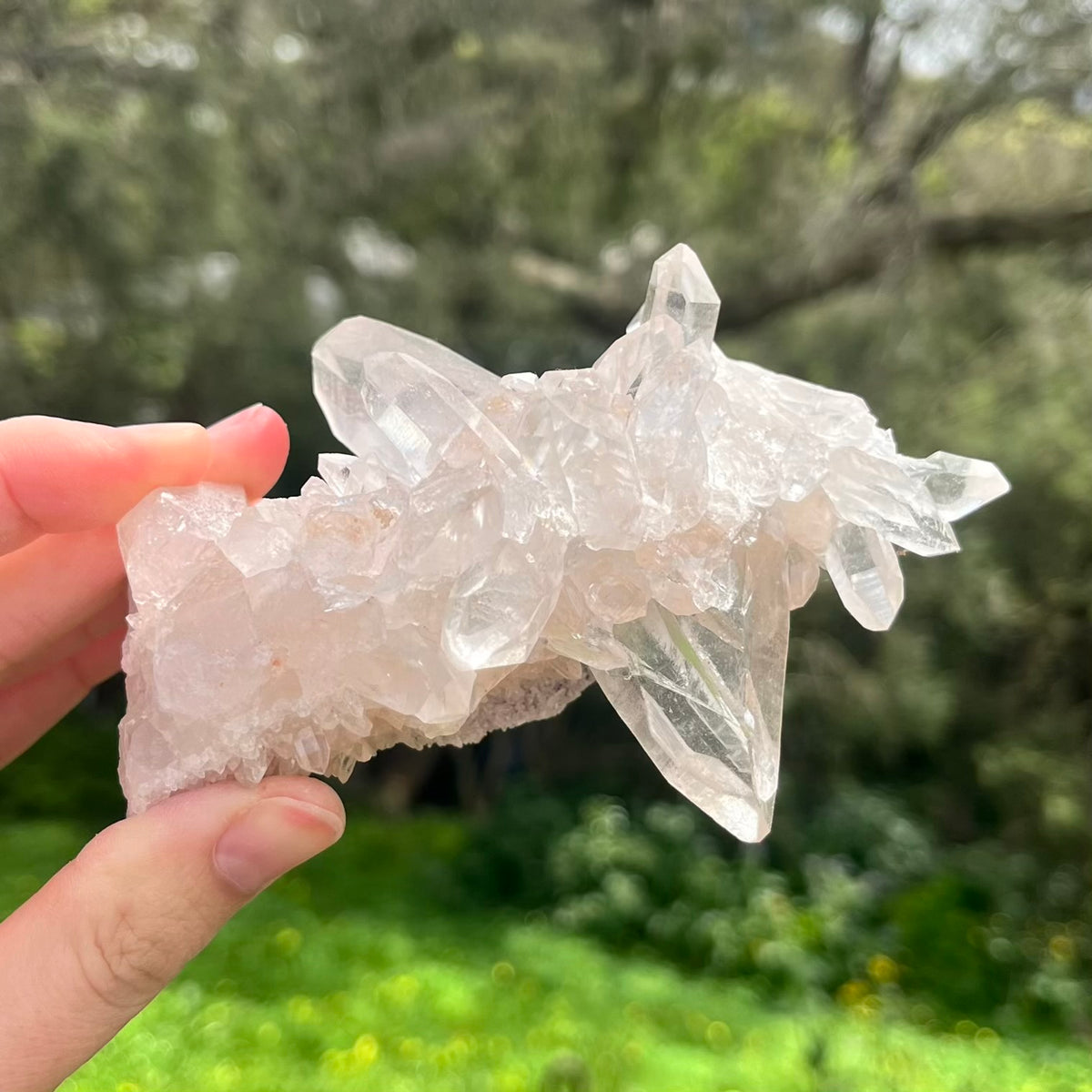 Clear Quartz Medium Cluster Crystal - Wisdom, Intention