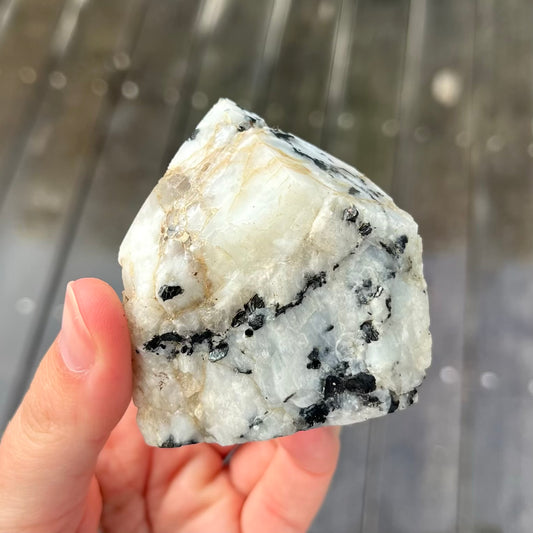 Tourmaline in Quartz Small Raw Point Crystal - Grounding, Protective, Purifying