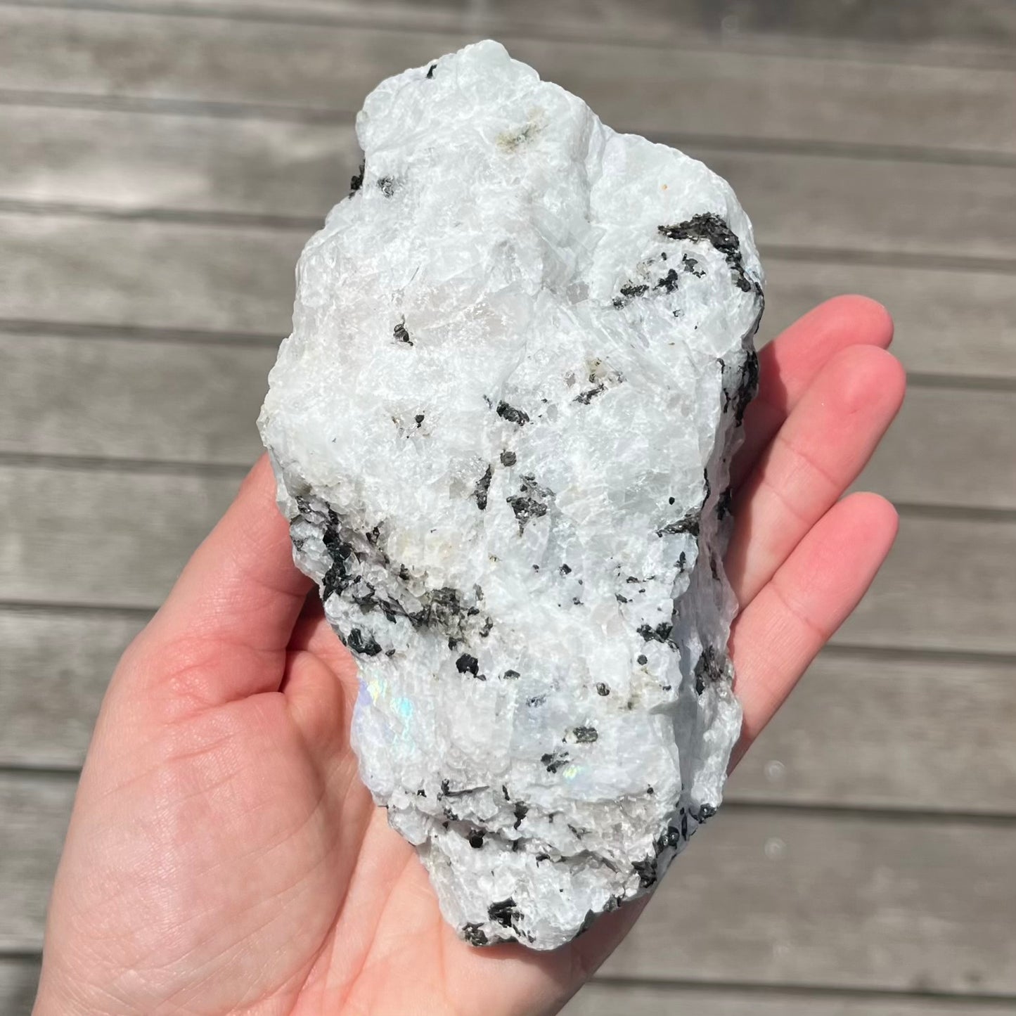 Rainbow Moonstone Large Raw Crystal - Calming, Intuitive