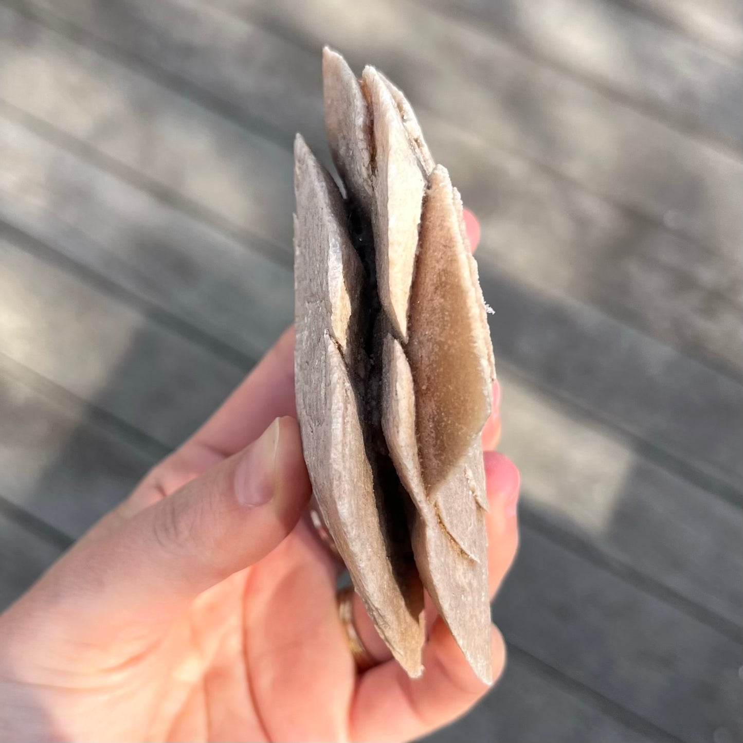 Desert Rose Selenite Large Raw Crystal - Protection, Clarity