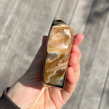 Petrified Wood Slab Crystal - Grounding, Ancient, Connection