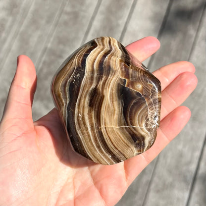 Petrified Wood Slab Crystal - Grounding, Ancient, Connection