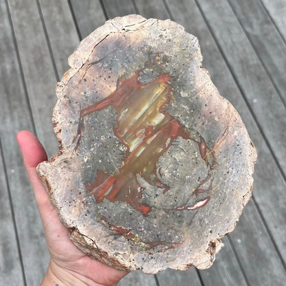 Petrified Wood XXL Slab Crystal - Grounding, Stabilising