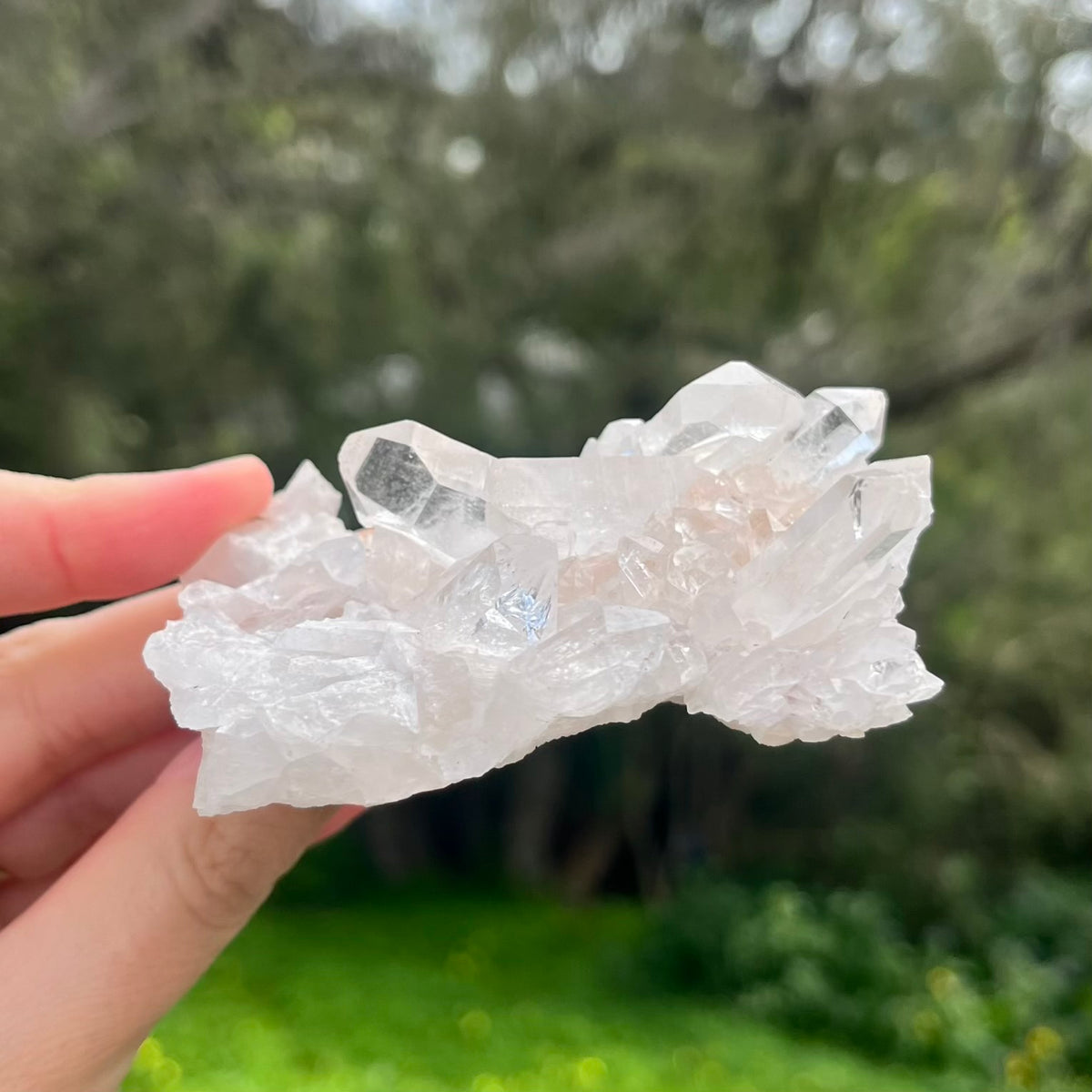 Clear Quartz Small Cluster Crystal - Wisdom, Intention
